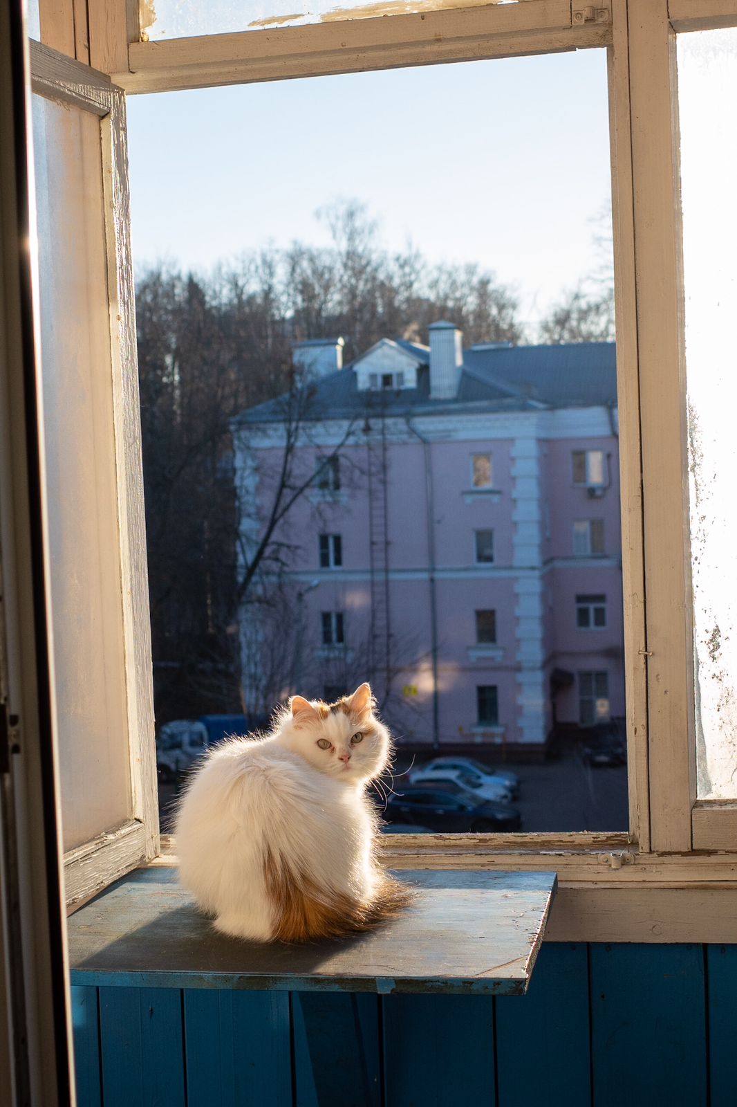 Георгий Романов